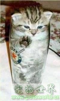点此在新窗口浏览图片