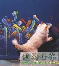 点此在新窗口浏览图片