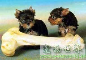 点此在新窗口浏览图片