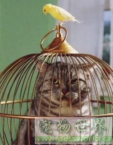 点此在新窗口浏览图片