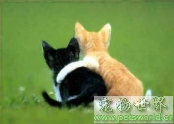 点此在新窗口浏览图片