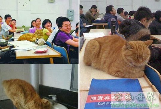 点此在新窗口浏览图片