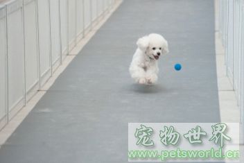 点此在新窗口浏览图片