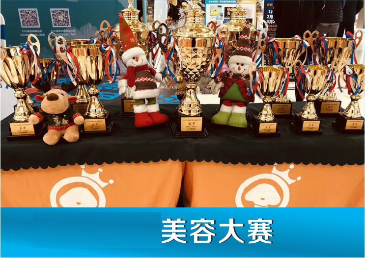 点此在新窗口浏览图片