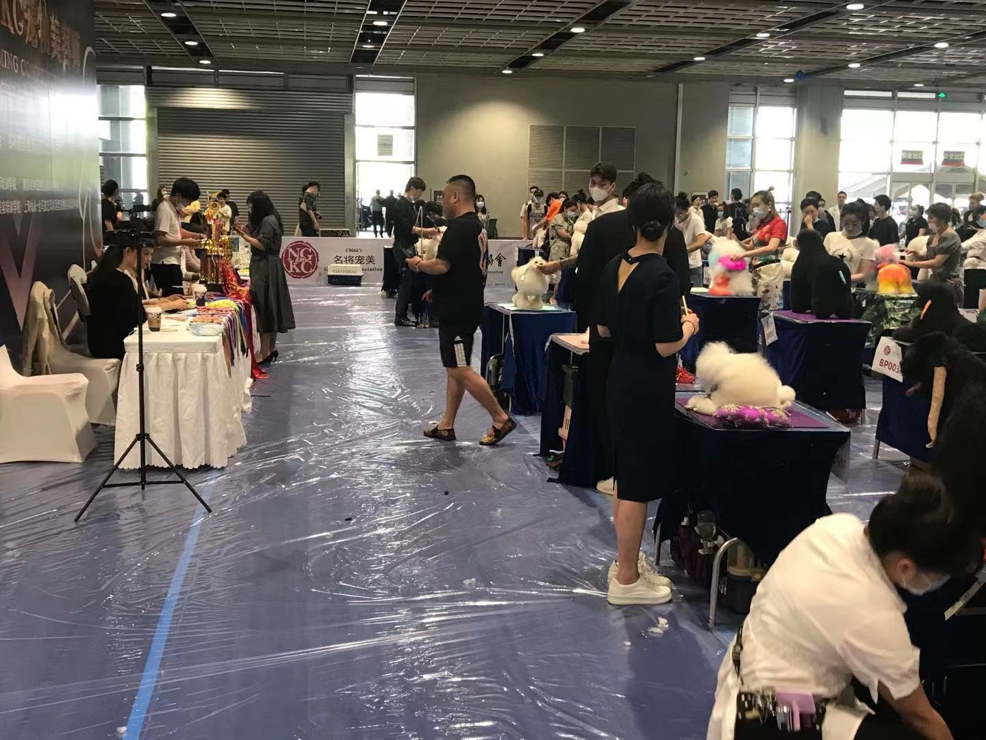 点此在新窗口浏览图片