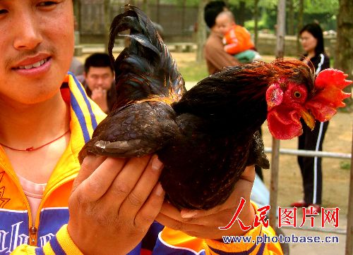 点此在新窗口浏览图片