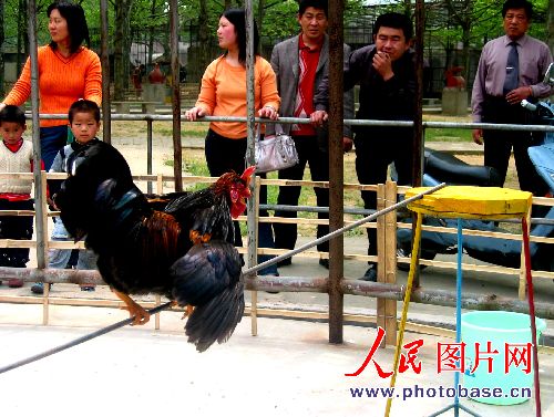 点此在新窗口浏览图片