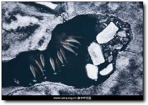 点此在新窗口浏览图片
