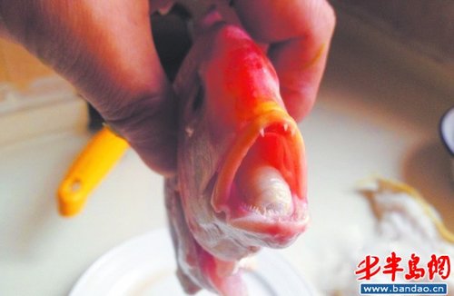 点此在新窗口浏览图片
