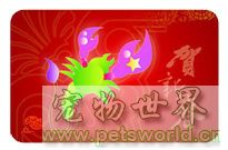 点此在新窗口浏览图片