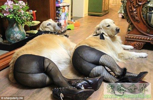 点此在新窗口浏览图片
