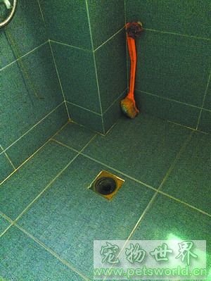 点此在新窗口浏览图片