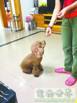 点此在新窗口浏览图片
