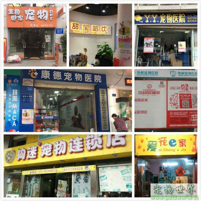 点此在新窗口浏览图片