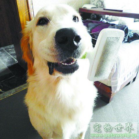 点此在新窗口浏览图片