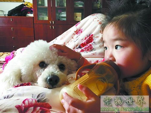 点此在新窗口浏览图片