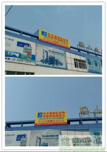 点此在新窗口浏览图片