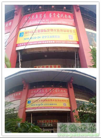 点此在新窗口浏览图片