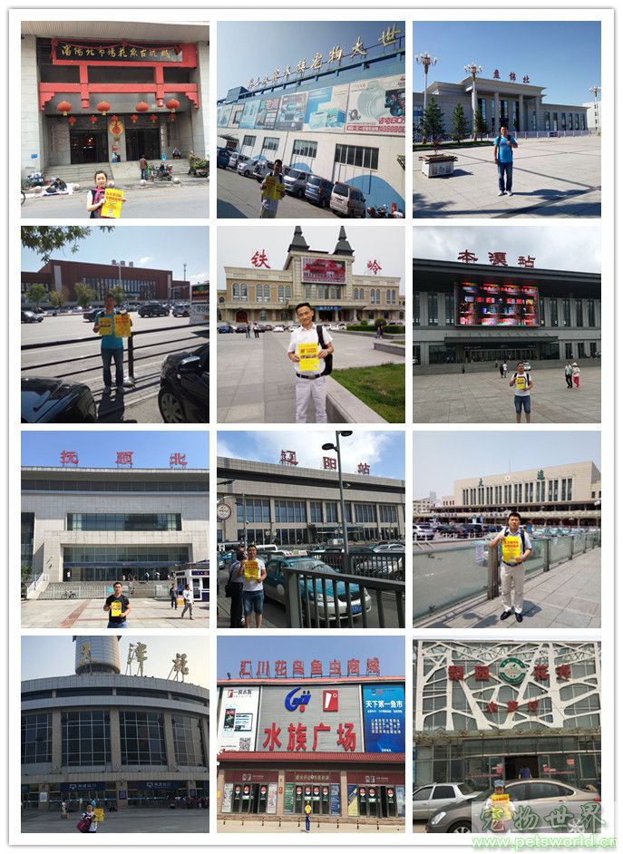 点此在新窗口浏览图片