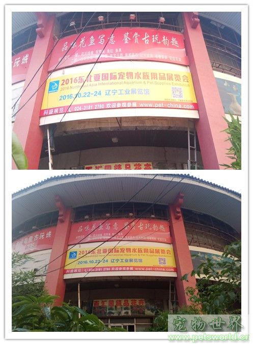 点此在新窗口浏览图片