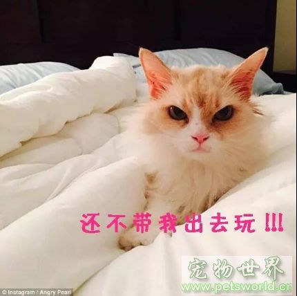 点此在新窗口浏览图片