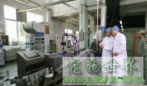 点此在新窗口浏览图片