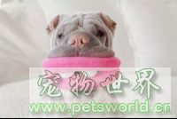 点此在新窗口浏览图片