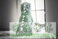 点此在新窗口浏览图片