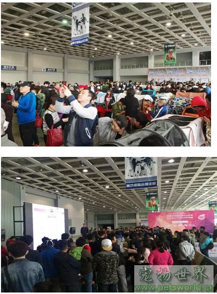 点此在新窗口浏览图片