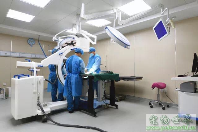 点此在新窗口浏览图片