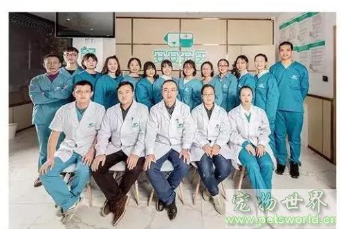 点此在新窗口浏览图片