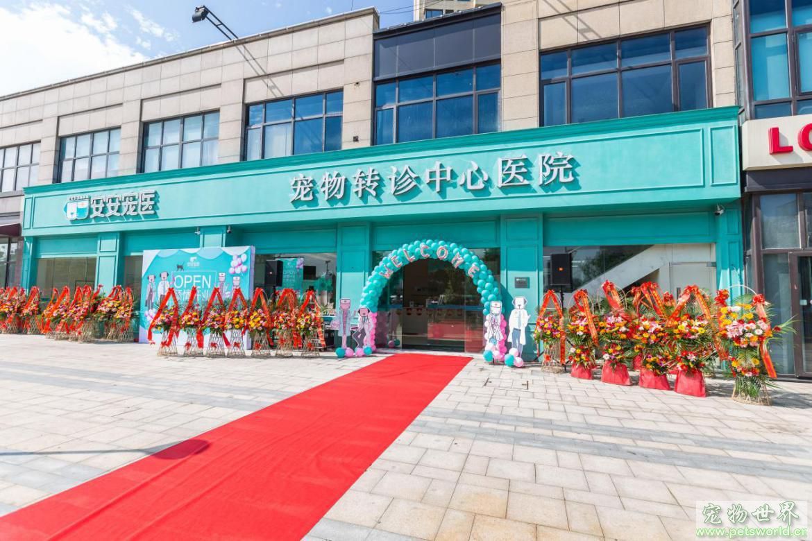 点此在新窗口浏览图片