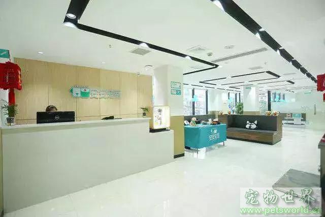 点此在新窗口浏览图片
