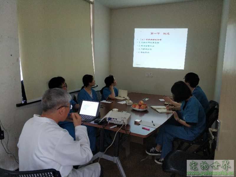 点此在新窗口浏览图片