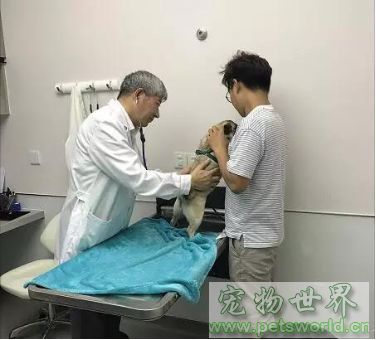 点此在新窗口浏览图片
