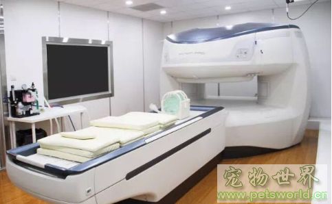 点此在新窗口浏览图片