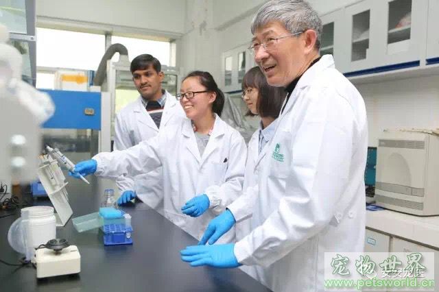 点此在新窗口浏览图片