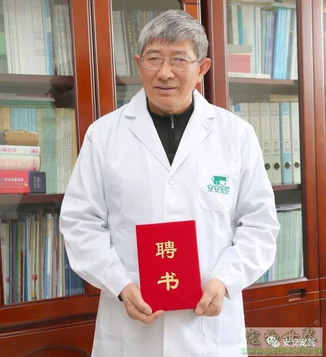 点此在新窗口浏览图片