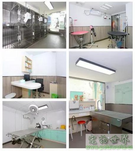 点此在新窗口浏览图片