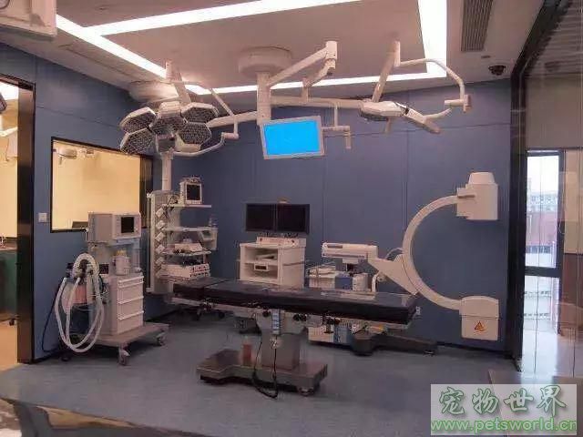 点此在新窗口浏览图片