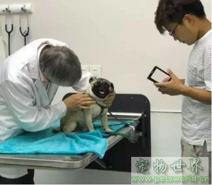 点此在新窗口浏览图片