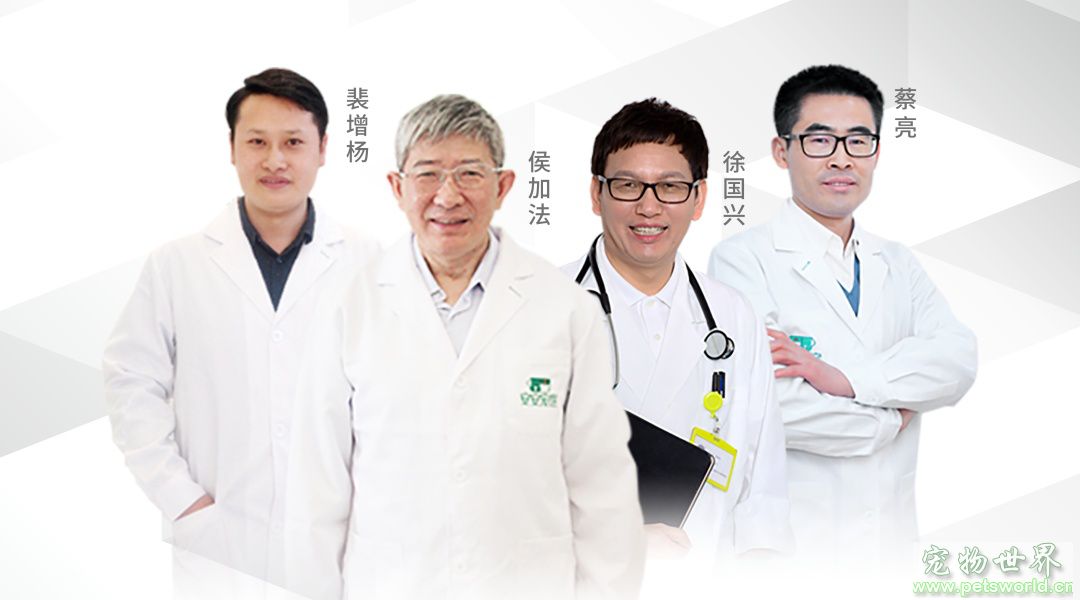 点此在新窗口浏览图片