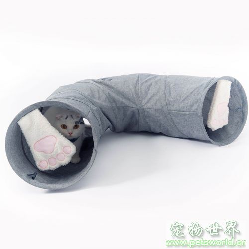 点此在新窗口浏览图片