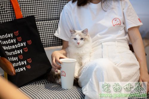 点此在新窗口浏览图片