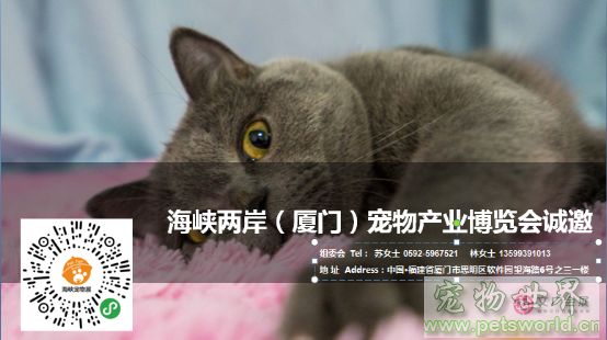 点此在新窗口浏览图片