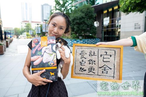 点此在新窗口浏览图片