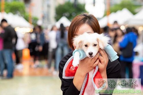 点此在新窗口浏览图片