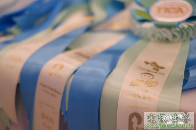 点此在新窗口浏览图片