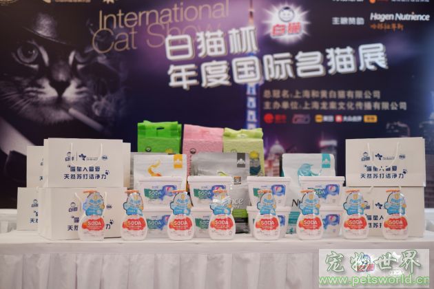 点此在新窗口浏览图片