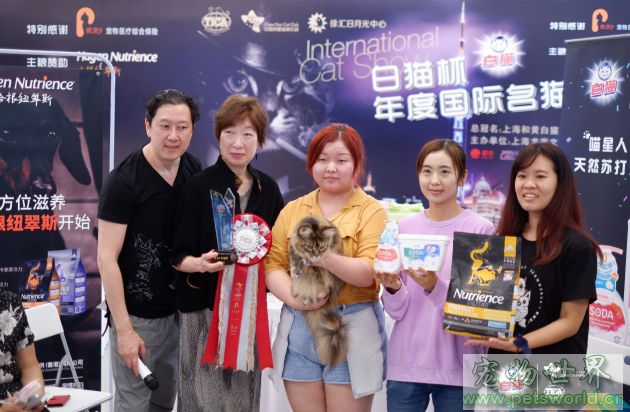 点此在新窗口浏览图片